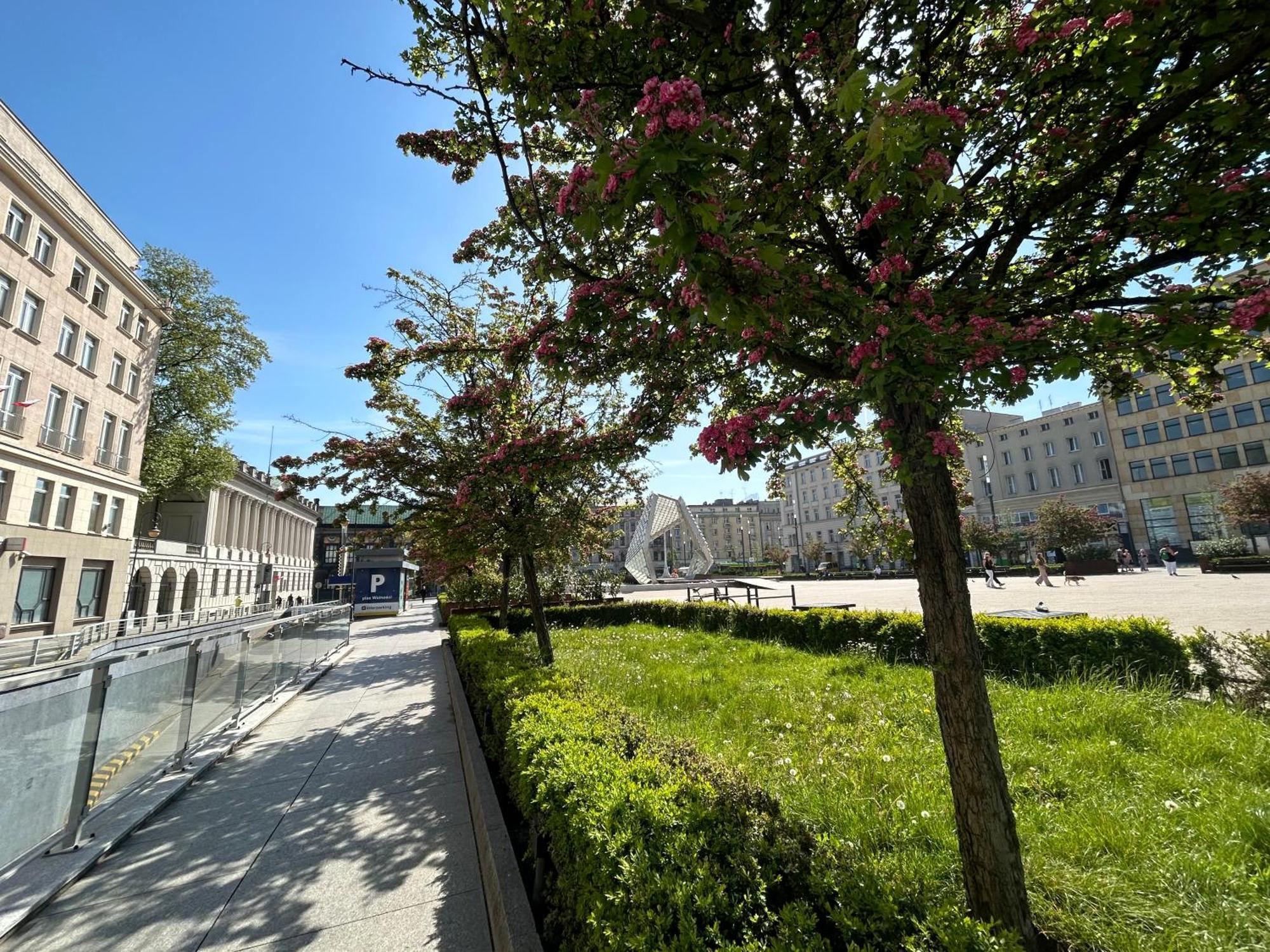 Apartamenty Pl. Wolnosci 6 Πόζναν Εξωτερικό φωτογραφία